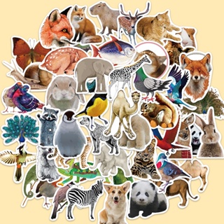 50pcs Adesivos Para Animais Da Selva Woodland Zoo Wildlife Livro De Bricolage Presente Telefone À Prova D'água Pacote De Carro Em PVC Crianças em Oferta na Shopee