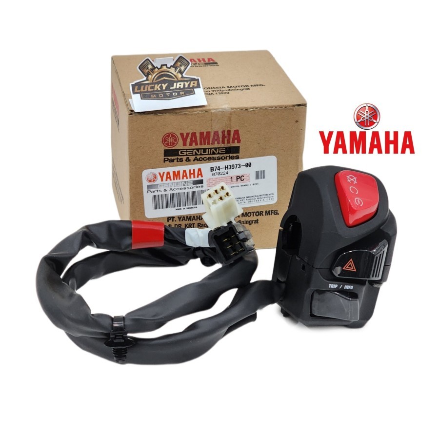 Interruptor Direito Do Xmax 250 Xmax250 X-Max 250 Old Lama B74-H3973-00 Original Yamaha