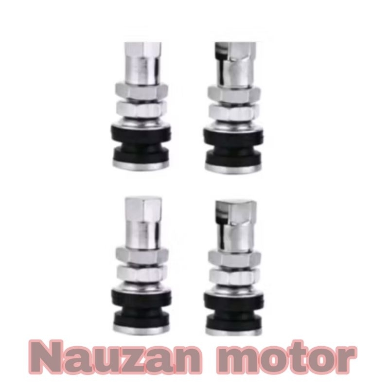 Válvula Tubeless De Ferro Curto