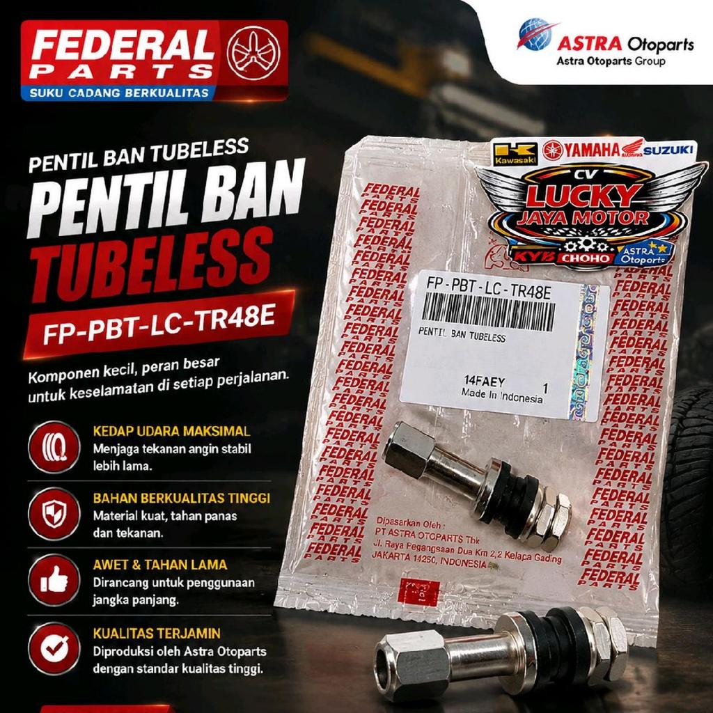 Válvula Longa Sem Câmara De Ar De Ferro Cromado Federal FP-PBT-LC-TR48E