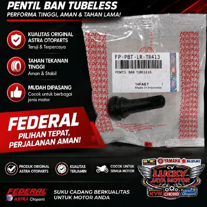 Válvula Sem Câmara De Borracha Longa Federal AstraOtoparts