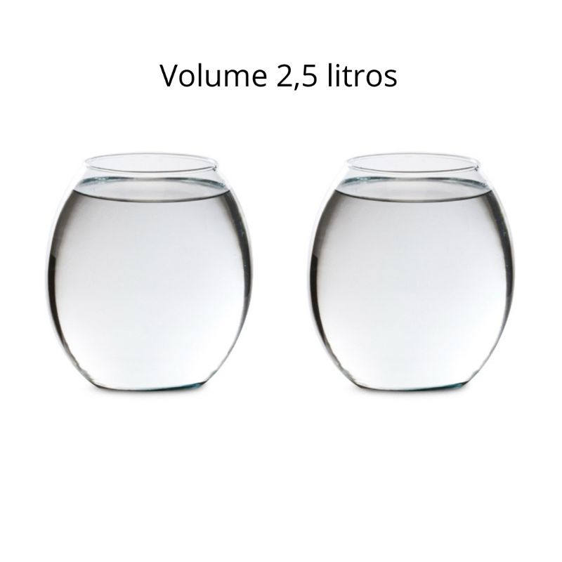Kit 2 Vasos Barrica 2.5 litro vidro transparente decoração terrários