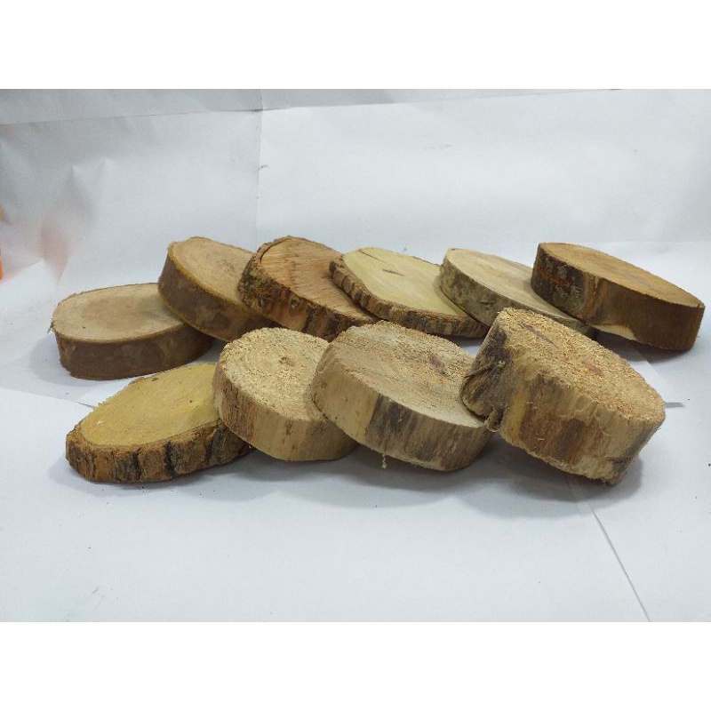 Kit 30 Bolacha tronco de madeira rústica natural em tamanhos variados de 7 a 9 cm de diâmetro com ou sem casca p/ decoração