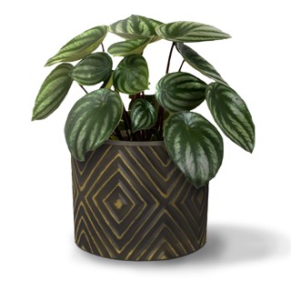 Vaso de Planta Flor Decorativo Redondo Grid