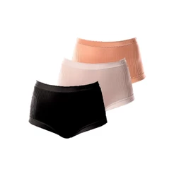 Kit com 3 Calcinhas Calça Nova Bourbon DeMillus Ref. 26406 Colorido