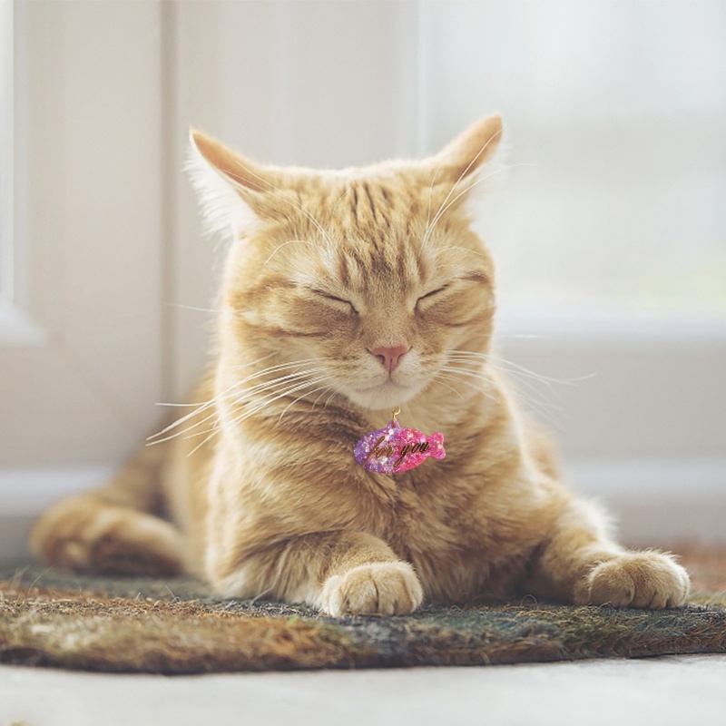 GODD Gatos Tag E Peixe Chaveiro Molde Cão Osso Em Forma De Kit De Resina De Silicone Com Para Chaveiros Jóias DIY