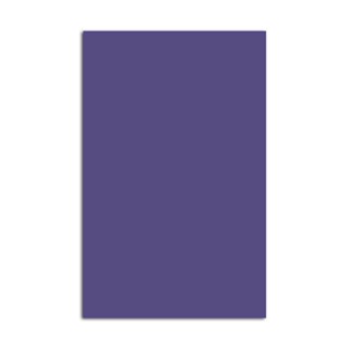 Placa de EVA 40X60cm roxo Seller