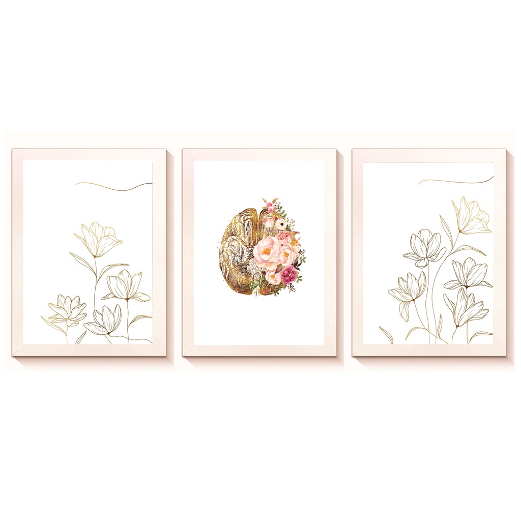 Kit 3 Quadros Decorativos Cérebro Medicina Psicologia Psiquiatria Molduras 20x30cm Madeira Vidro Brancas