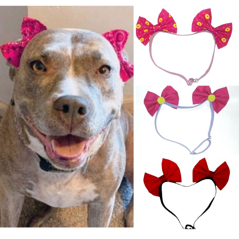 Laços Pet Tiara para Pêlo Curto para Cães Cachorra Fêmeas  Regulável em Oferta na Shopee