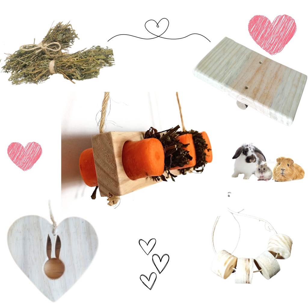 Brinquedos para Hamster Roer: Onde Comprar | BuscaProdutos