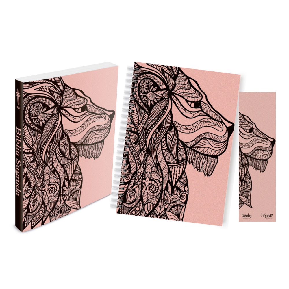 Bíblia Caderno Ntlh: Onde Comprar | BuscaProdutos