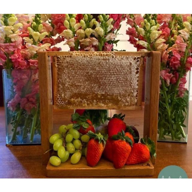 Bandeja para Favo de Mel e Frios em Oferta na Shopee