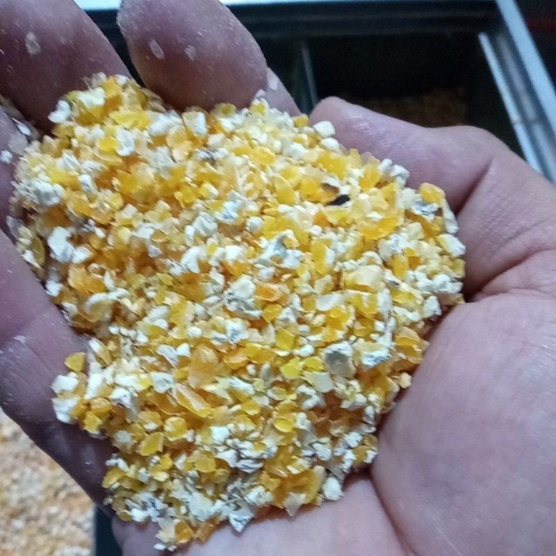 Quirera de milho fina média grossa 5 kg