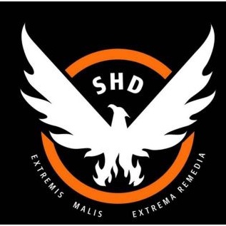 patch bordado the division jogo termocolante