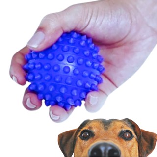 Brinquedo Bola Pet Cravo de Borracha para Cães e Gatos