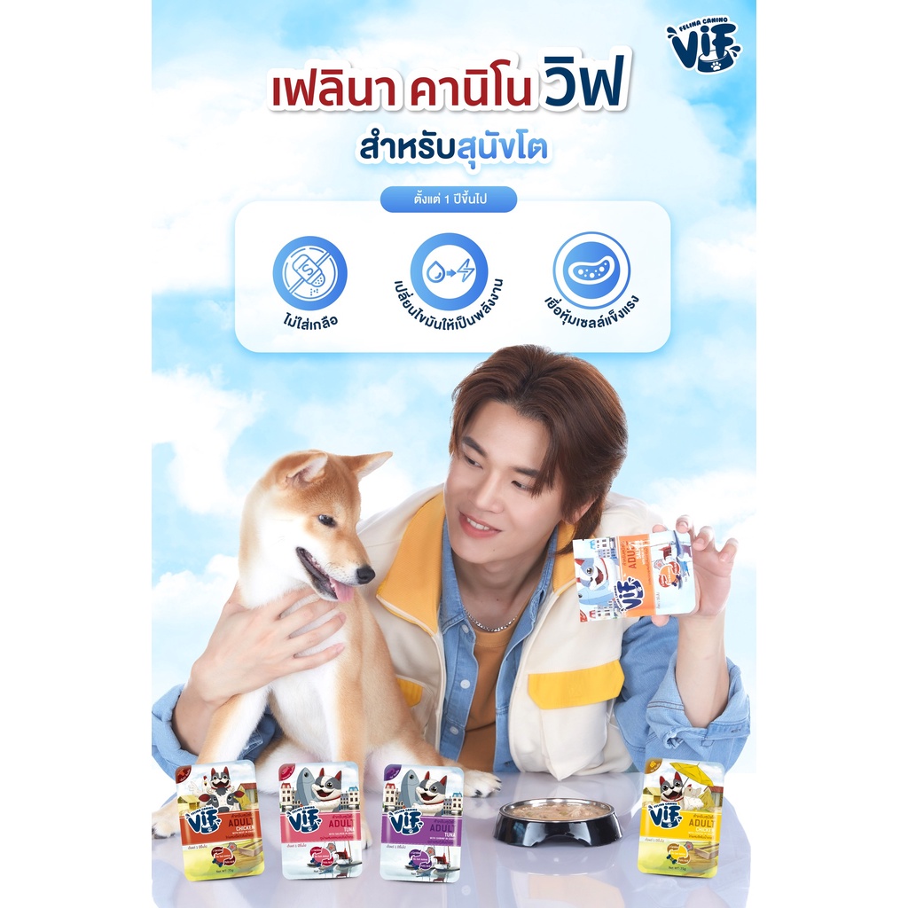 [12ซอง] Felina Canino VIF อาหารสุนัขแบบเปียก ชนิดซอง 75g - ภาพที่ 4