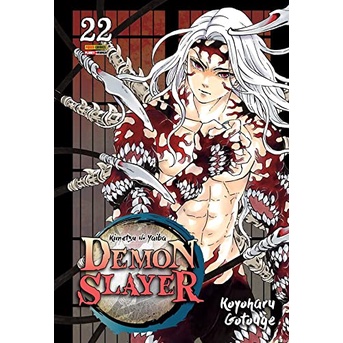 DEMON SLAYER - KIMETSU NO YAIBA 22 - PANINI