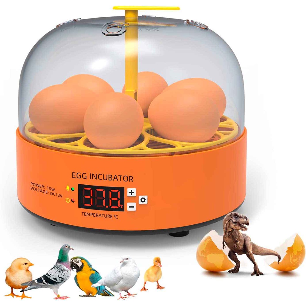 Mini Chocadeira Incubadora Ovos Galinha Pato Semi Automática Lorben em Oferta na Shopee