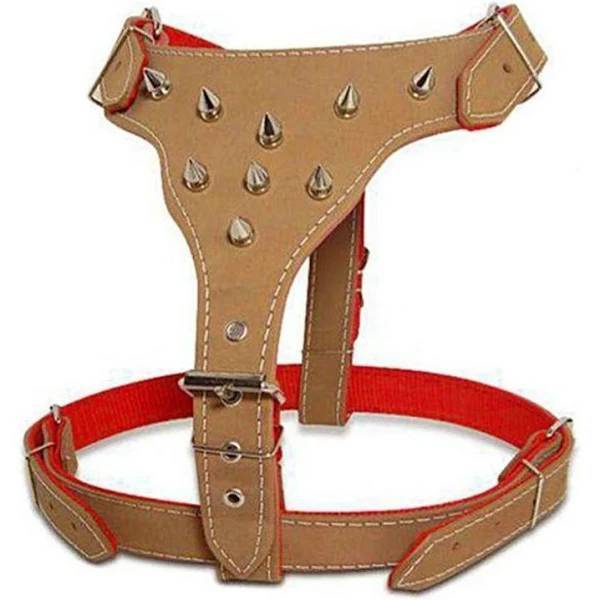 Peitoral pit bull com e sem cravo