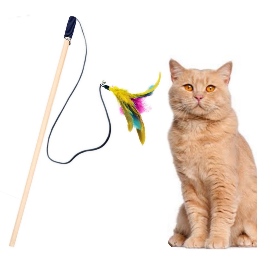 Varinha Cat fishing Brinquedo vareta para gatos - Bastão gato em Oferta na Shopee
