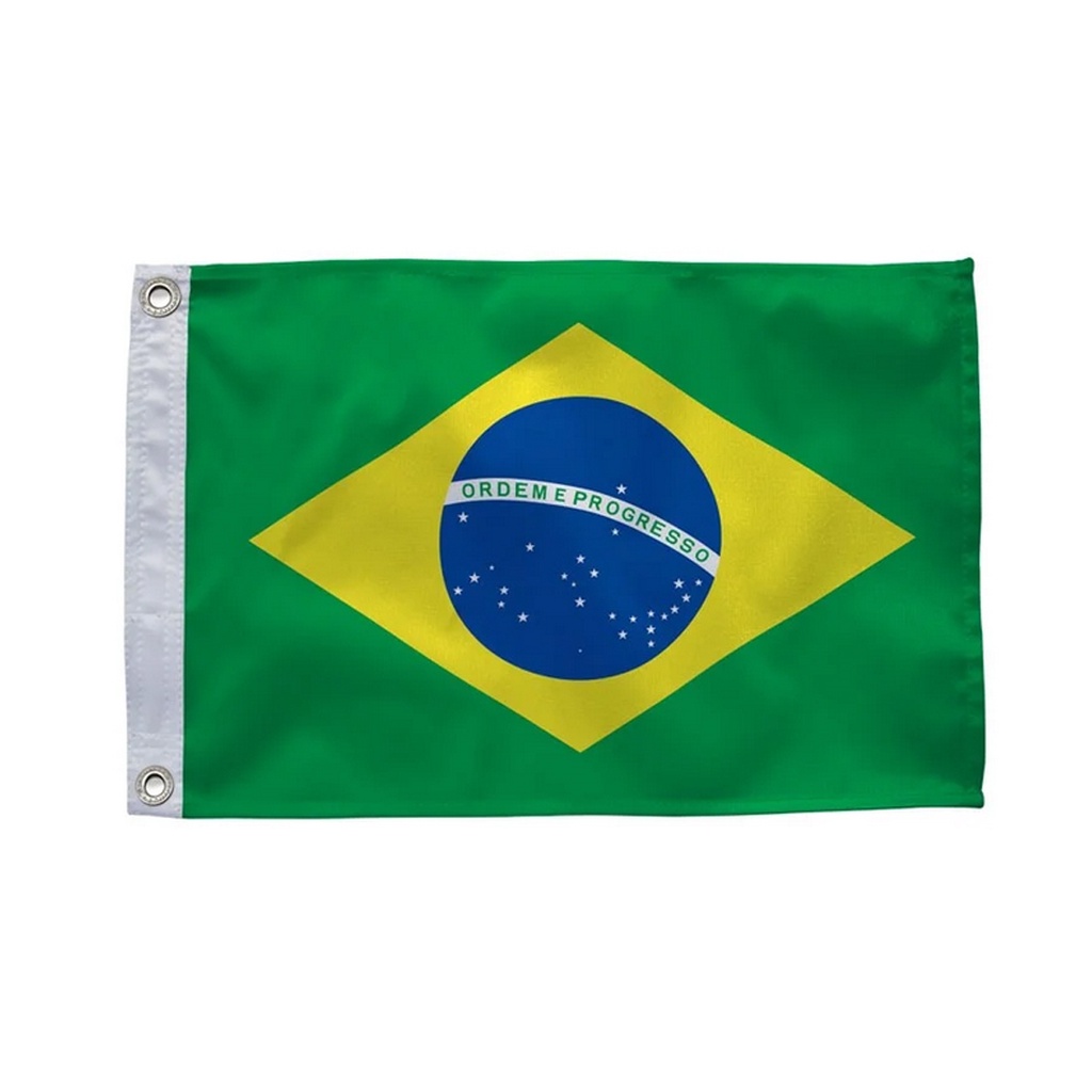 Bandeira Oficial Do Brasil 45x65cm Dupla Face 1 Panos