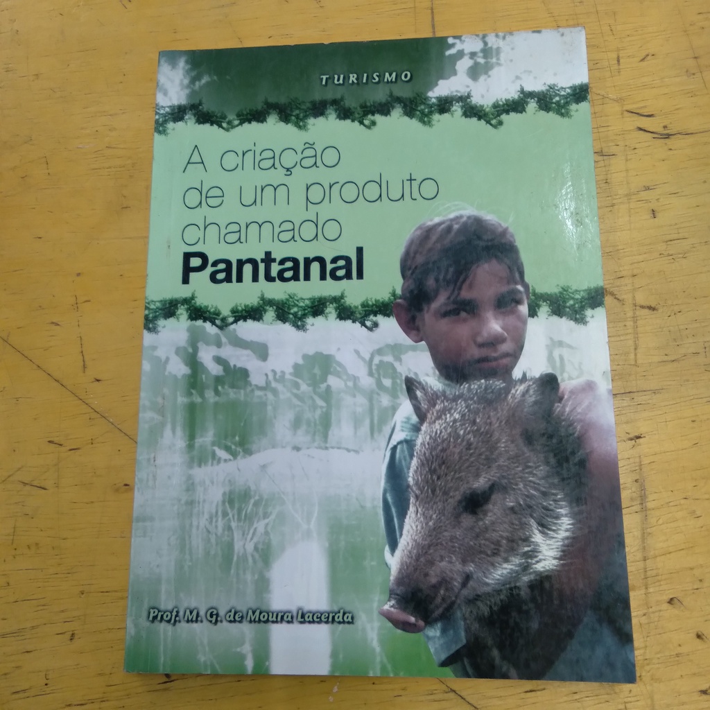 LIVRO A CRIAÇÃO DE UM PRODUTO CHAMADO PANTANAL M G DE MOURA LACERDA