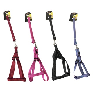 Guia Com Peitoral Coleira Para Passeio P/M/G Cachorro Gato Segurança Proteção Pet LR-0090 em Oferta na Shopee