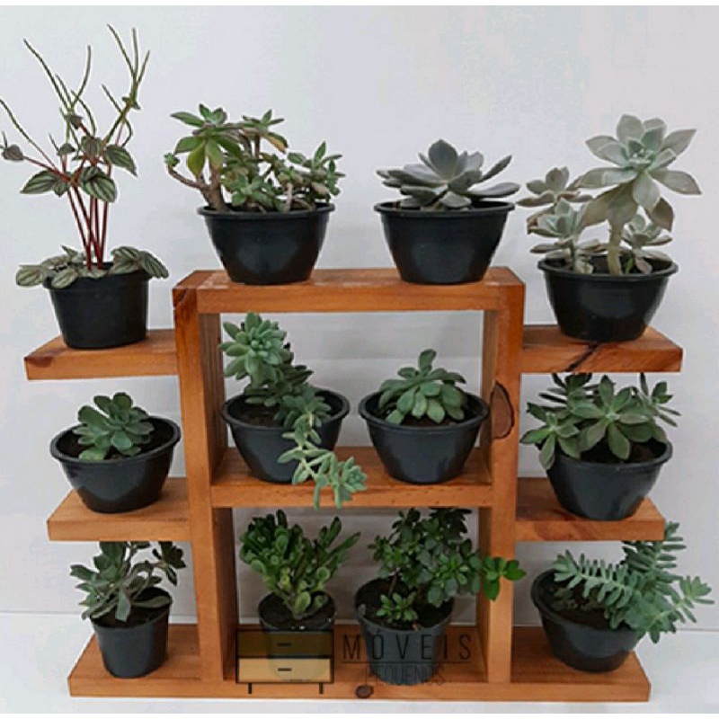 suporte pra suculenta prateleira plantas em Oferta na Shopee