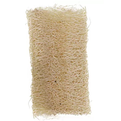 Sementes De Bucha Ou Esponja Vegetal 1 Envelope — imagem 2 de 2