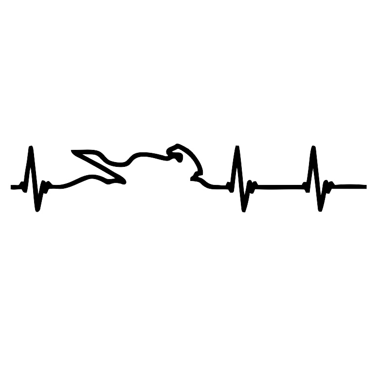 Adesivo Moto Batimento Decorativo em Oferta na Shopee