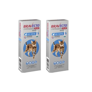 2 Bravecto Plus Gatos Transdermal 2,8 A 6,25Kg 250Mg em Oferta na Shopee