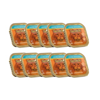 Kit 10 Rações Special Cat Patê Gatos Adultos Peixe 100g em Oferta na Shopee