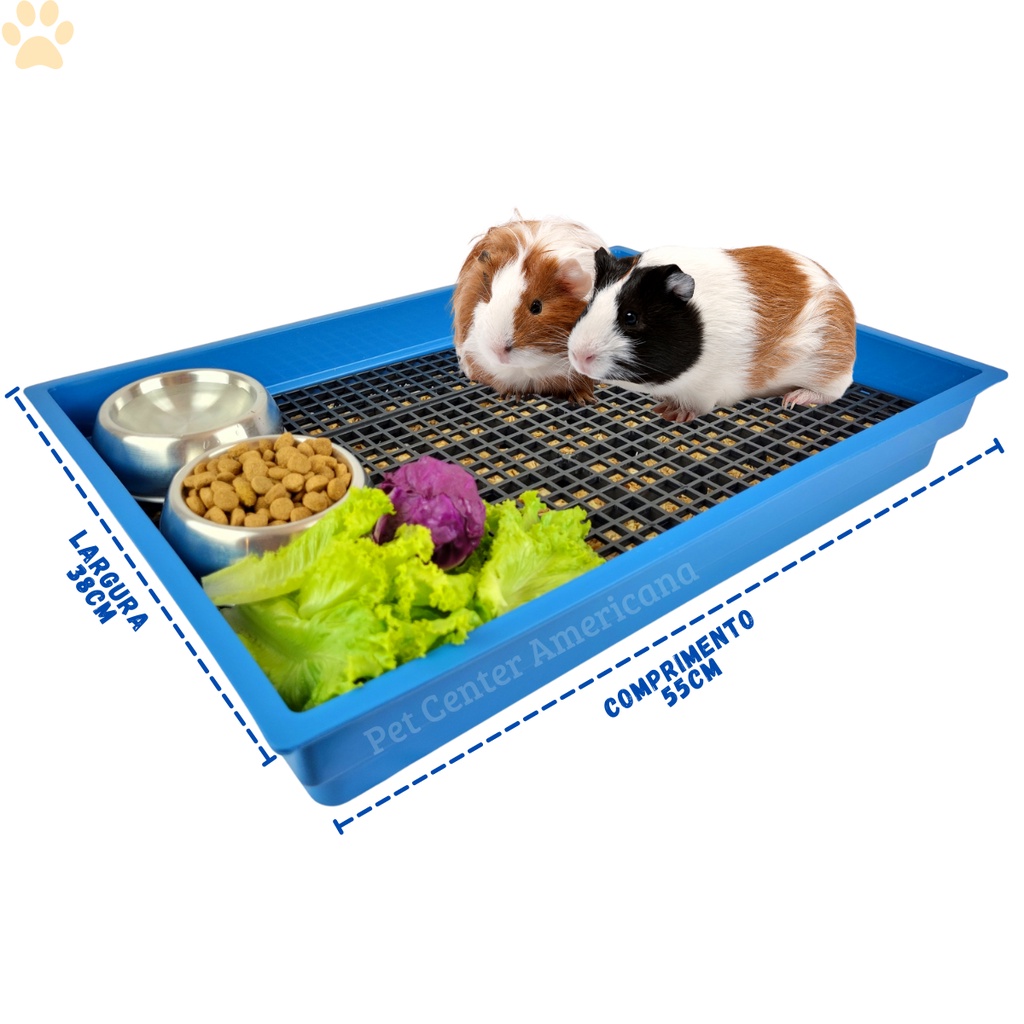 Bandeja Banheiro Sanitária Coelho Porquinho da índia-Plastic