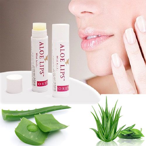 FOREVER ALOE LIPS (Protetor Labiel) | Shopee Brasil