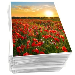 Papel Fotográfico 230g A4 Glossy Brilhante Foto 20 Folhas Premium Masterprint