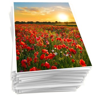 Papel Fotográfico 230g A4 Glossy Brilhante Foto 20 Folhas Premium Masterprint