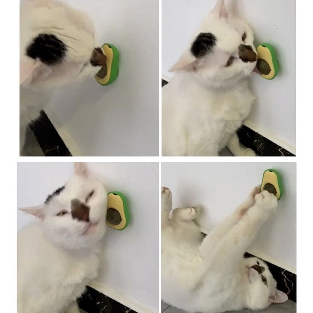 Abacate De Brinquedo Avocado Para Gatos Com Catnip Erva Gato Natural