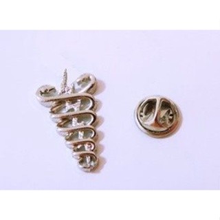 Pin Botton Broche Profissões Fisioterapia Fisioterapeuta
