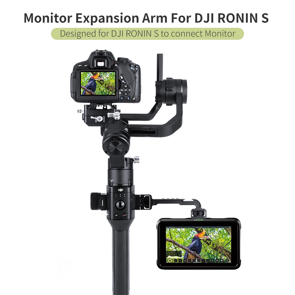 Ronin store s video