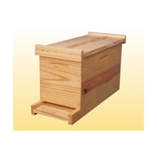 Núcleo transportador/caixa isca para abelha apis com ferrão, padrão langstrooth com quadros em Oferta na Shopee