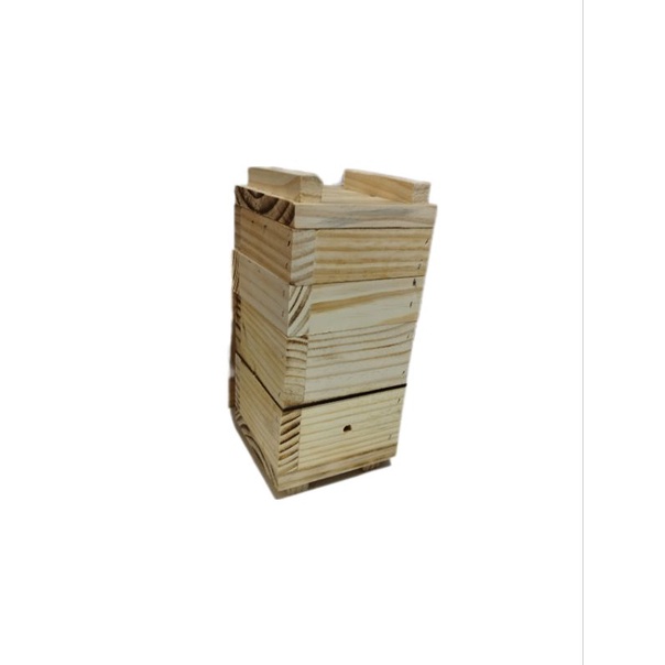Caixa de abelha Jatai modelo INPA, para abelha sem ferrão asf em Oferta na Shopee