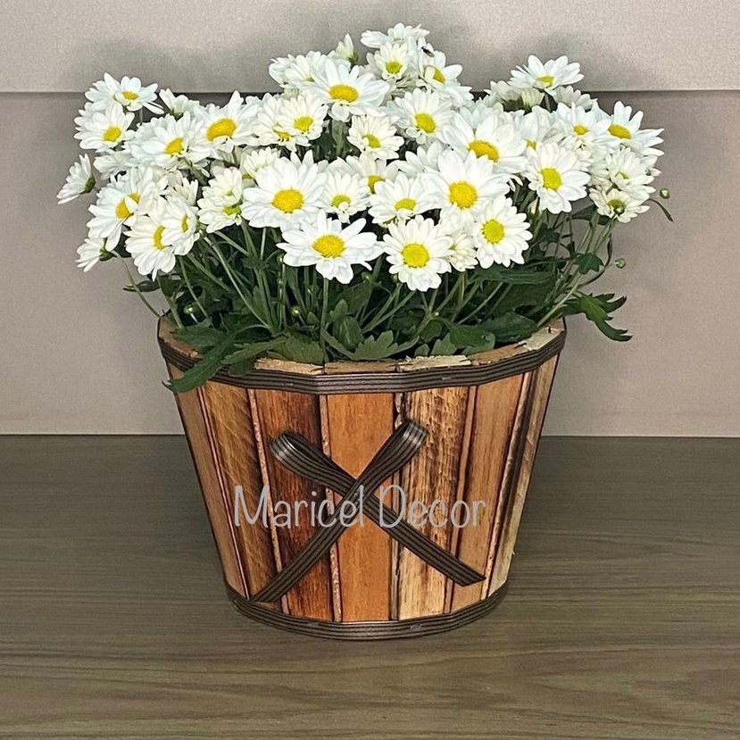 Vaso Cachepô 20x15cm Crisântemo Boquinha com Laço em Madeira