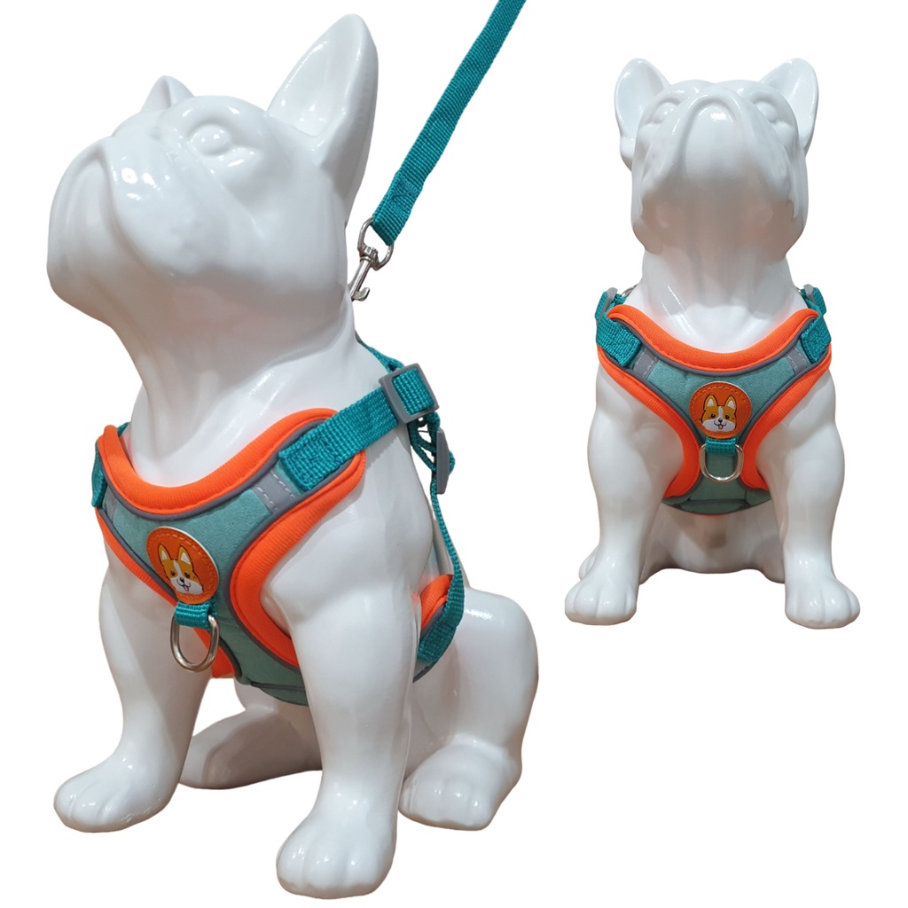 Coleira Peitoral coleira para cachorro com guia para pet pequenos e médios colete confortável