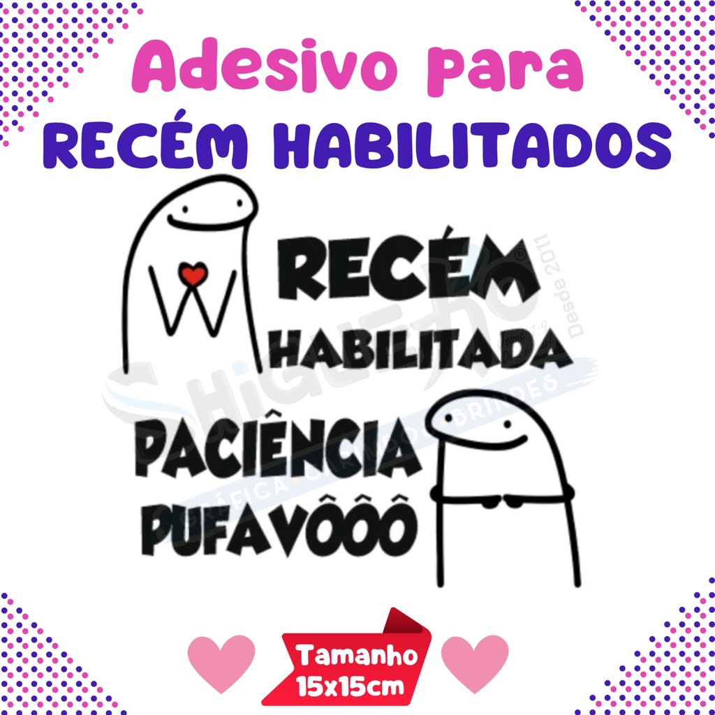 Adesivo Recém habilitado carro motorista flork sinalização