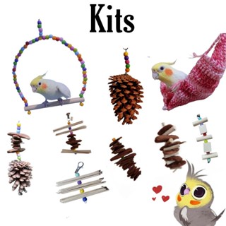 Kit de Brinquedos para Calopsita Agapornis periquito - Brinquedo para pássaros- Promoção
