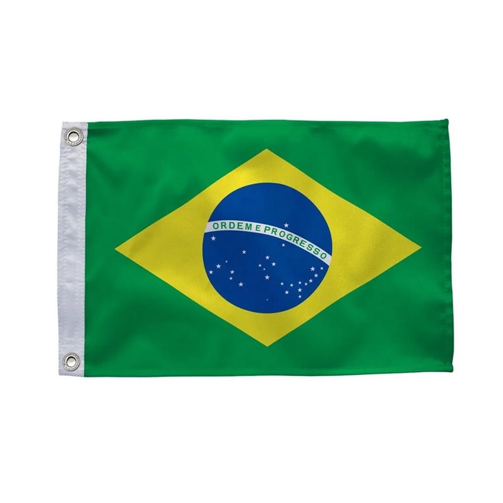 Bandeira Oficial Do Brasil 20x33cm Dupla Face 1/2 Panos