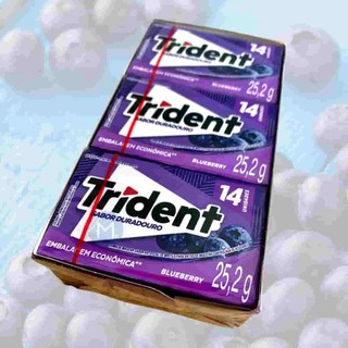 Caixa Trident Blueberry com 12 unidades | Shopee Brasil