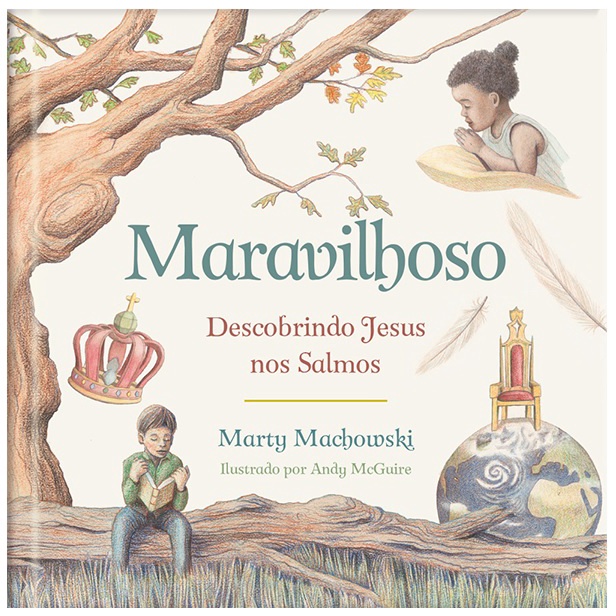 Livro Maravilhoso | Descobrindo Jesus nos Salmos | Capa Dura