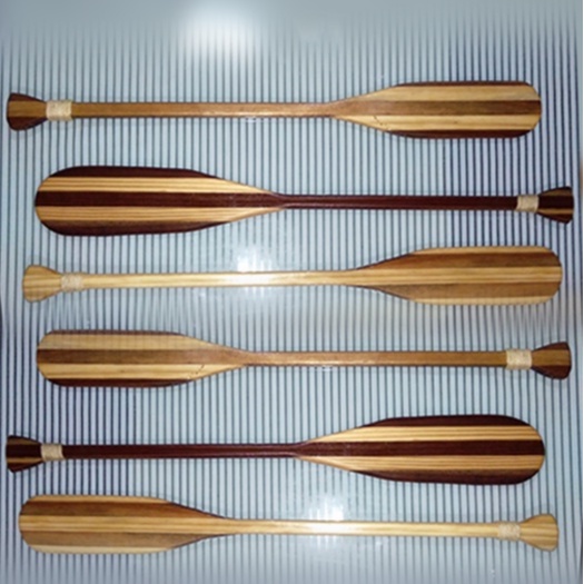 Remo de Canoa Havaiana: Onde Comprar | BuscaProdutos