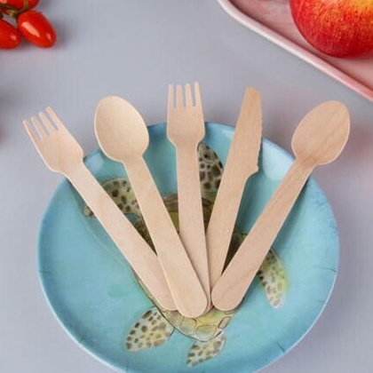 Talher Descartavel de Madeira Refeição 30 Unidades